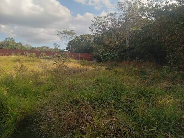 Venda em Aldeia Velha - Chapada dos Guimarães