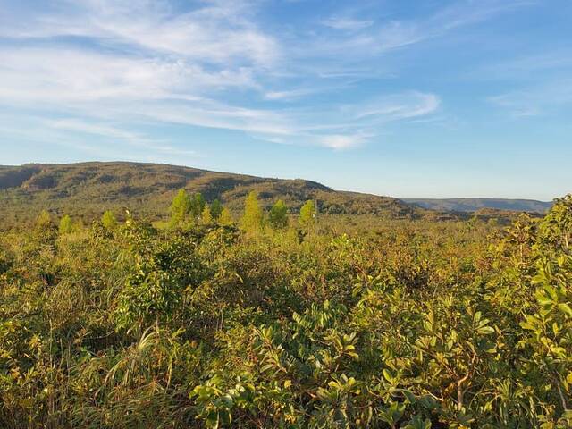 #88 - Chácara para Venda em Chapada dos Guimarães - MT - 1