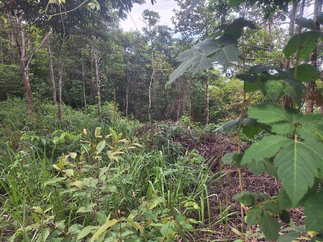 #89 - Área para Venda em Chapada dos Guimarães - MT - 2