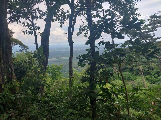 #89 - Área para Venda em Chapada dos Guimarães - MT - 3